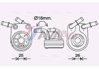 Oil Cooler, engine oil