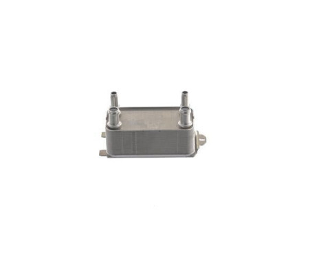 Oil cooler, engine oil