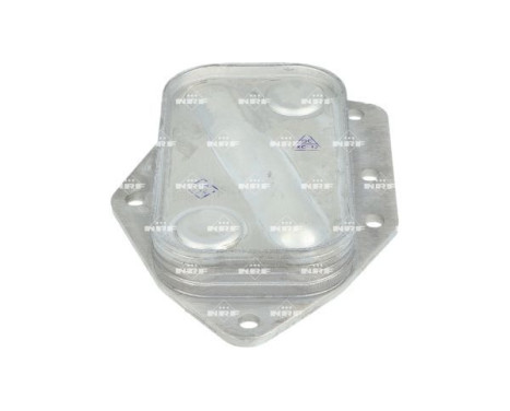 Oil cooler, engine oil