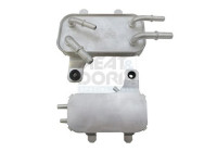 Oil cooler, engine oil