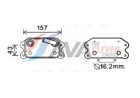 Oil Cooler, engine oil