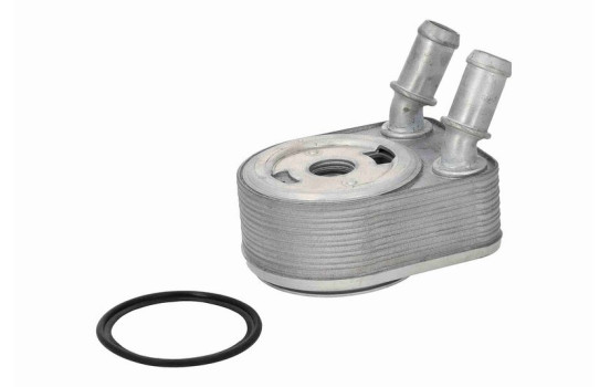 Oil cooler, engine oil