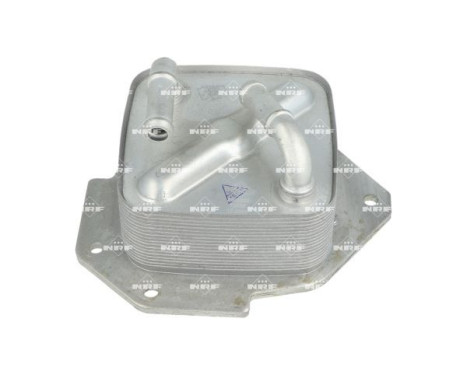 Oil cooler, engine oil