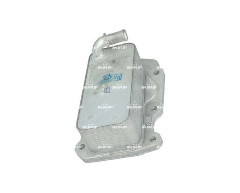 Oil cooler, engine oil