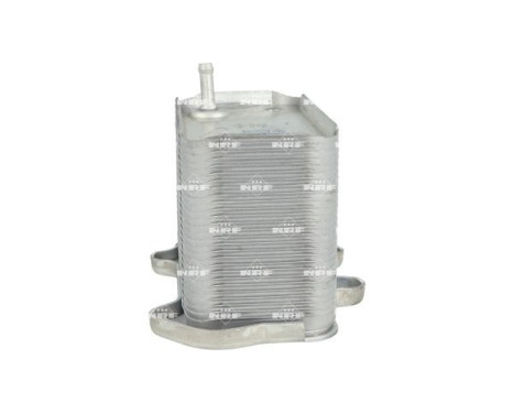 Oil Cooler, engine oil, Image 4