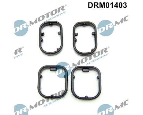 Seal kit, oil cooler