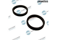 Seal kit, oil cooler