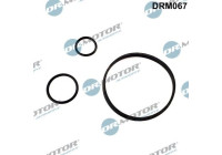 Seal kit, oil cooler