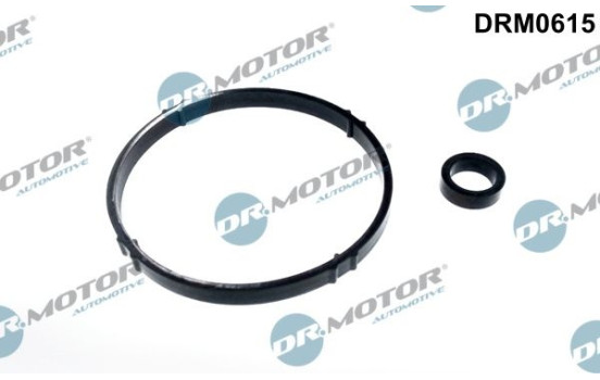 Seal kit, oil cooler