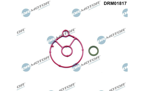 Seal kit, oil cooler