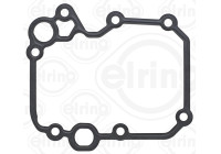 Seal, oil cooler