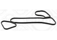 Seal, oil cooler