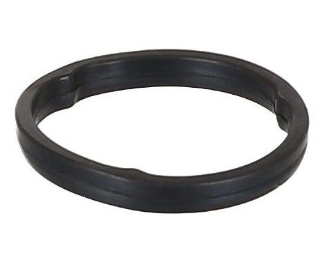Seal Ring, oil cooler