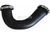 Charger Air Hose