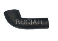 Charger Air Hose