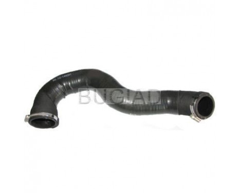 Charger Air Hose