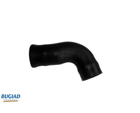 Charger Air Hose