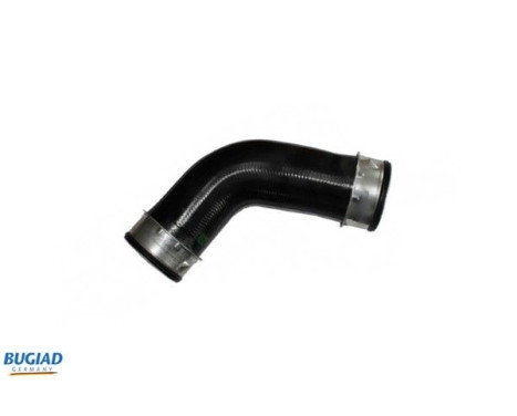 Charger Air Hose