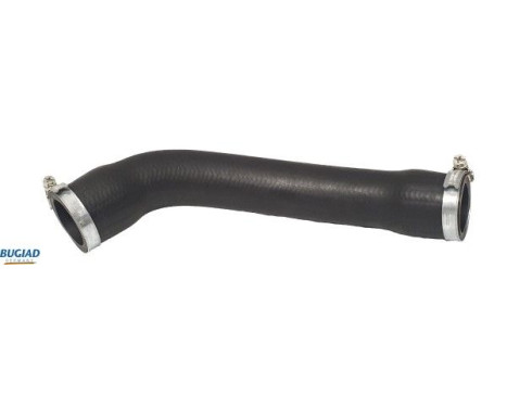 Charger Air Hose