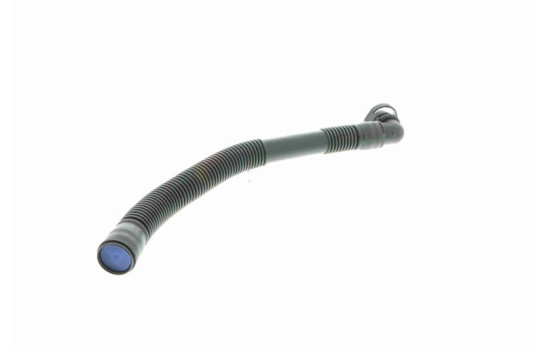 Hose, air supply Original VAICO Quality, Image 5