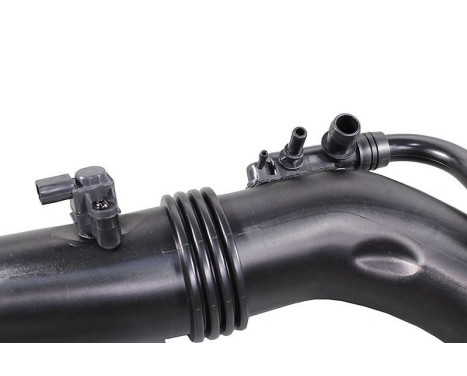 Hose, air supply, Image 4