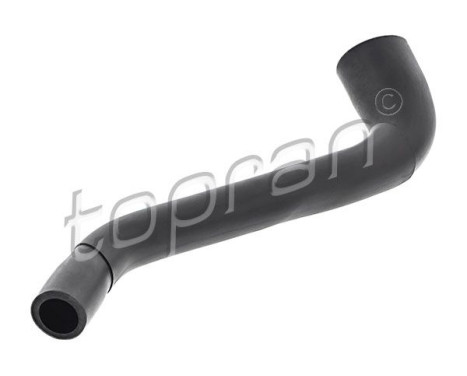 Hose, cylinder head cover breather