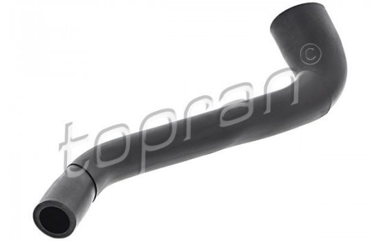 Hose, cylinder head cover breather