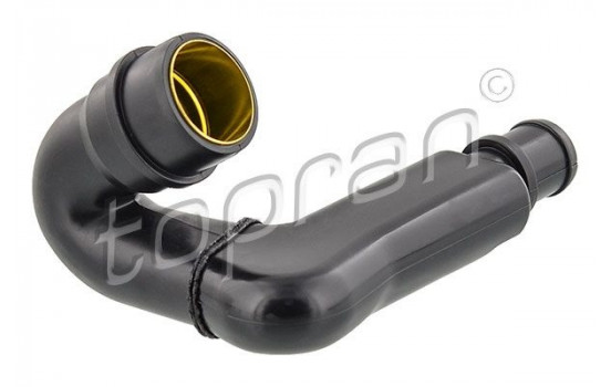 Hose, cylinder head cover breather