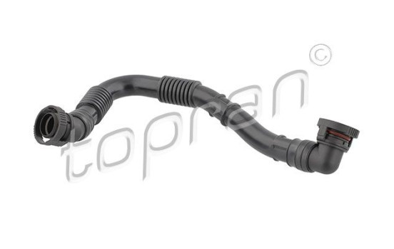 Hose, cylinder head cover breather