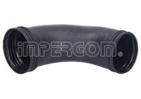 Intake hose, air filter