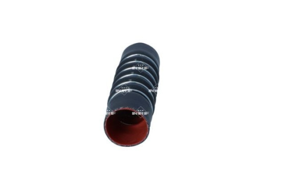 Intercooler Hoses, Image 2