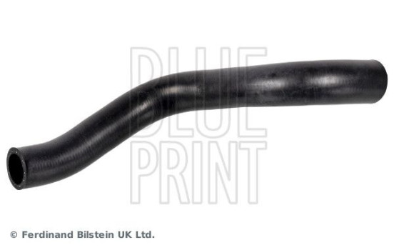 Radiator Hose ADBP930002 Blue Print, Image 2