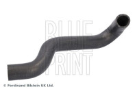 Radiator hose ADBP930017 Blue Print