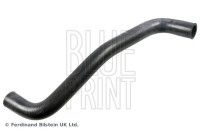 Radiator hose ADBP930018 Blue Print