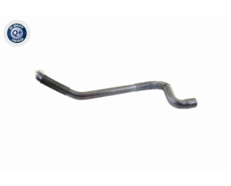 Radiator Hose Q+, original equipment manufacturer quality, Image 4
