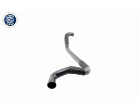 Radiator Hose Q+, original equipment manufacturer quality, Image 6