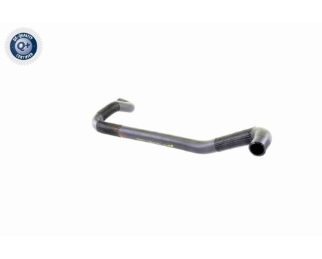 Radiator Hose Q+, original equipment manufacturer quality, Image 9