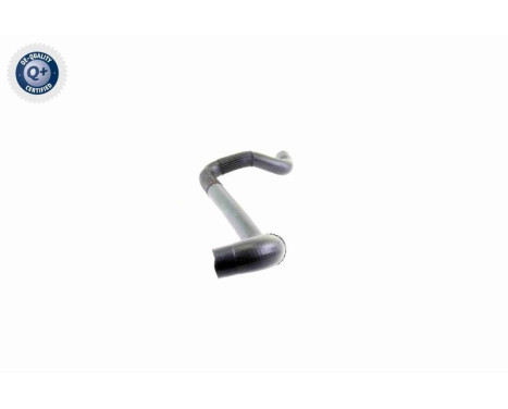 Radiator Hose Q+, original equipment manufacturer quality, Image 10