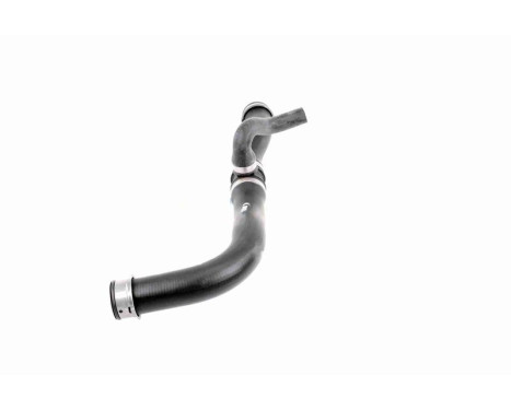 Radiator Hose Q+, original equipment manufacturer quality, Image 6