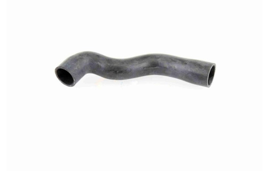 Radiator Hose Q+, original equipment manufacturer quality, Image 2