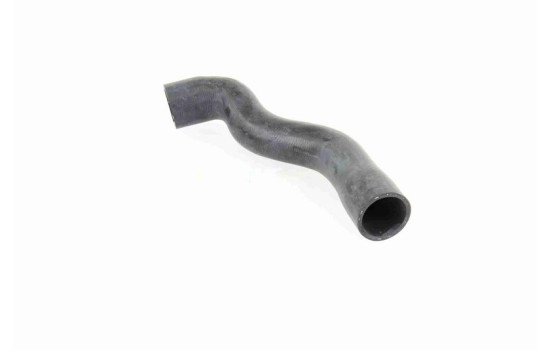 Radiator Hose Q+, original equipment manufacturer quality, Image 3