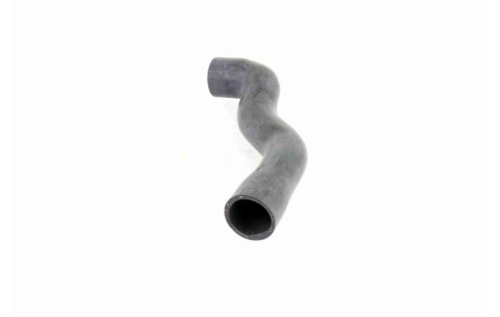 Radiator Hose Q+, original equipment manufacturer quality, Image 4
