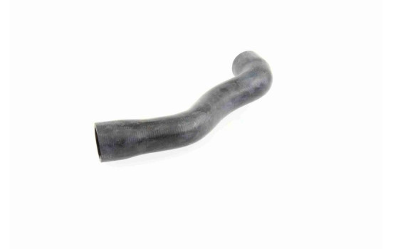 Radiator Hose Q+, original equipment manufacturer quality, Image 5