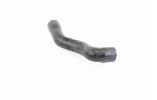 Radiator Hose Q+, original equipment manufacturer quality, Image 7
