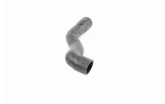Radiator Hose Q+, original equipment manufacturer quality, Image 8