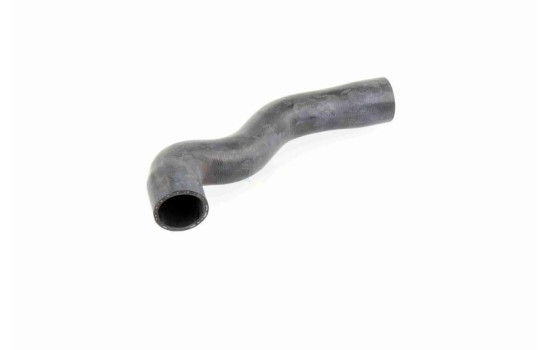 Radiator Hose Q+, original equipment manufacturer quality, Image 9