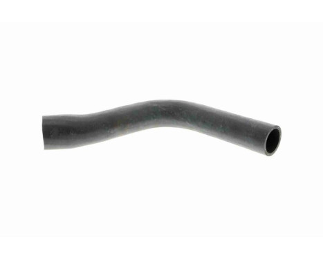 Radiator Hose Q+, original equipment manufacturer quality, Image 2