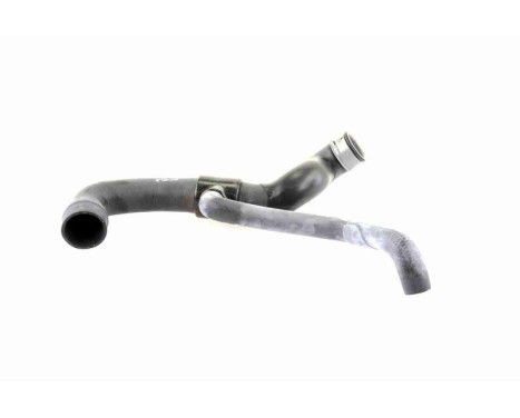 Radiator Hose Q+, original equipment manufacturer quality, Image 2