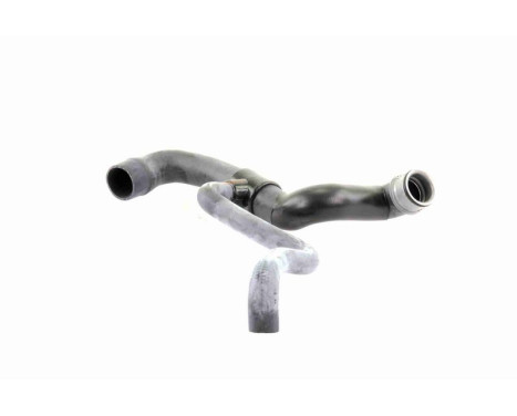 Radiator Hose Q+, original equipment manufacturer quality, Image 3