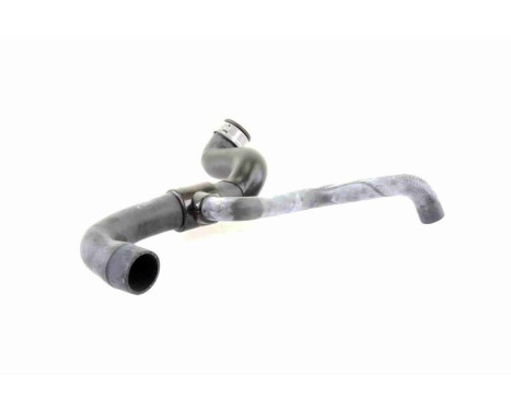 Radiator Hose Q+, original equipment manufacturer quality, Image 9